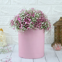 Baby'S Breath Elegance