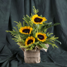Blissful Sunflowers 