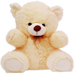 1 Ft Teddy