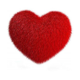 Red Heart Cushion