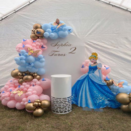 Cinderella_S Dreamy Balloon Decor