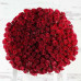 500 Red Roses