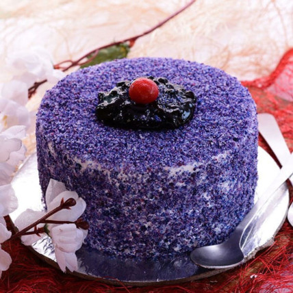 Velvety Blueberry Cake