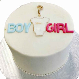 Gender Reveal Baby Shower Cake Onzie