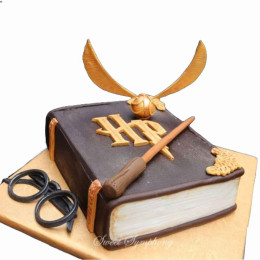 Coolest DIY Harry Potter Birthday Cake - A Labor of Love!-happymobile.vn