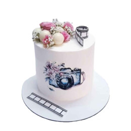 Beauteous Camera Roll Cake