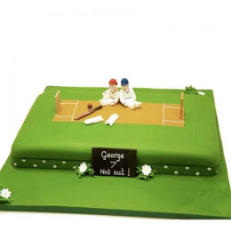 Cricket Lover'S Cake