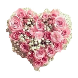 Pink Heart