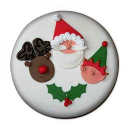 Special Delicious Merry Christmas Cake