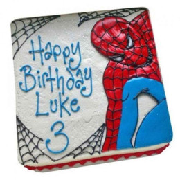 Web Of Spiderman Cake