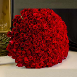 500 Red Roses