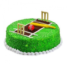 Cricket Pitch Cake