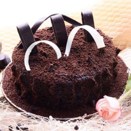 Velvety Choco Truffle Cake