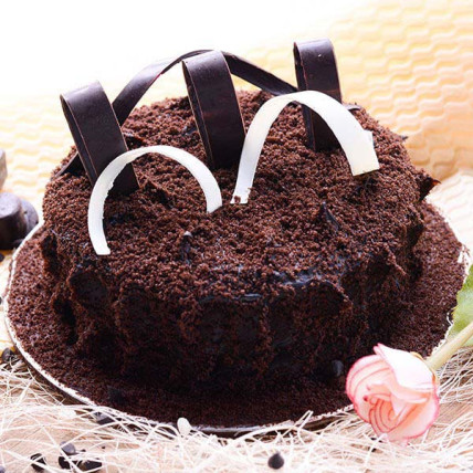 Velvety Choco Truffle Cake