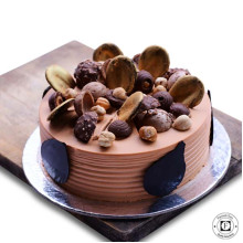 Choco Jungle Cake