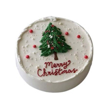 Merry Christmas Cake