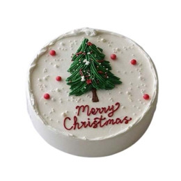 Merry Christmas Cake