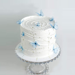 Sparkling Splendor Cake