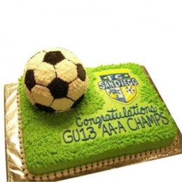 Soccer Cake