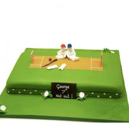 Cricket Lover'S Cake