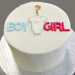 Gender Reveal Baby Shower Cake Onzie