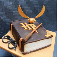 Harry Potter Book Cake