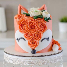 Dreamy Foxy Cake