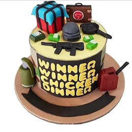 Pubg Winner