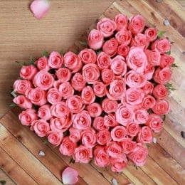 Blushing Beauty