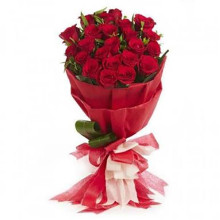 20 Beutiful Roses
