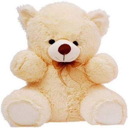 1 Feet Teddy