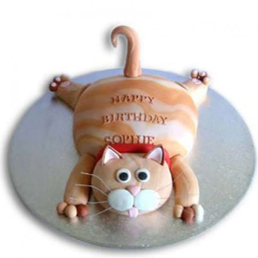 Tabby Cat Cake Tabby Cat Cake is a Fondant and it can be ordered in 2 Kg.